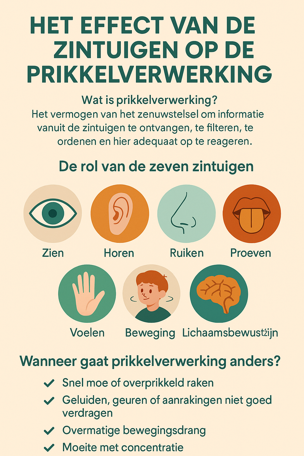 Het Effect van de Zintuigen op de Prikkelverwerking
