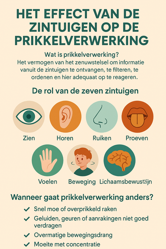 Het Effect van de Zintuigen op de Prikkelverwerking