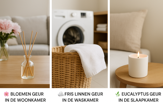Geur als stille kracht in huis – Hoe subtiele geurprikkels je leven positief beïnvloeden